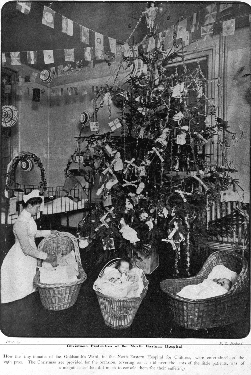 Christmas tree on Goldsmith’s Ward at the North-Eastern Hospital for Children in 1905